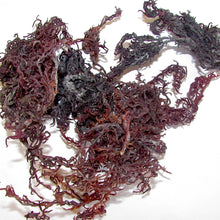 Purple Sea moss organic wild crafted from St.Lucia